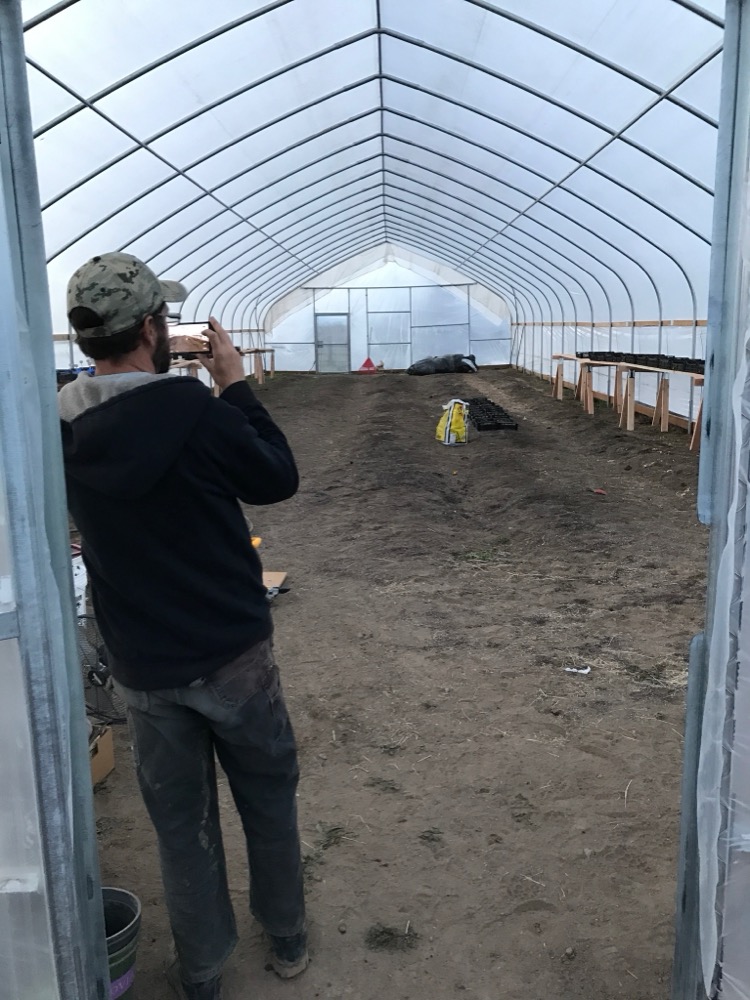 A person working inside a greenhouse tunnel.