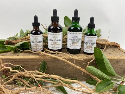 Herbal tincture bottles arranged with ashwagandha roots and leaves.